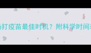 幼犬过早断奶打疫苗最佳时机附科学时间表与注意事项