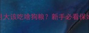 边境牧羊犬5个月大该吃啥狗粮新手必看保姆级喂养指南
