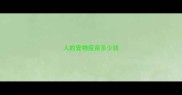 人的宠物疫苗多少钱