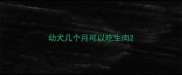 幼犬几个月可以吃生肉