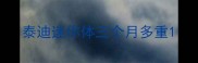 泰迪迷你体三个月多重