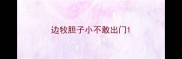 边牧胆子小不敢出门