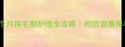 萨摩耶四个月换毛期护理全攻略附防泪痕掉毛打结秘籍