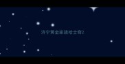 济宁黄金家族哈士奇