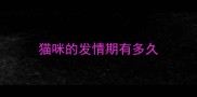 猫咪的发情期有多久
