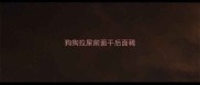 狗狗拉屎前面干后面稀