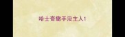 哈士奇撒手没主人