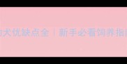 白色拉布拉多幼犬优缺点全新手必看饲养指南附避坑攻略