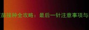 牧羊犬疫苗接种全攻略最后一针注意事项与养护指南