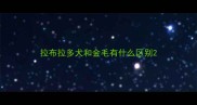 拉布拉多犬和金毛有什么区别