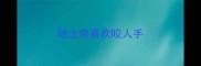 哈士奇喜欢咬人手