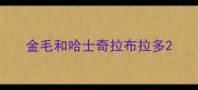 金毛和哈士奇拉布拉多