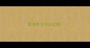 泰迪多大可以走路