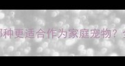 金毛vs拉布拉多哪种更适合作为家庭宠物全面对比与饲养指南
