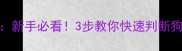 哈士奇骨架全新手必看3步教你快速判断狗狗体型和性格