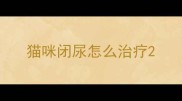 猫咪闭尿怎么治疗