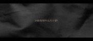 训练宠物外出大小便