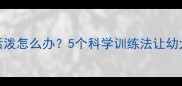 两个月大泰迪太活泼怎么办5个科学训练法让幼犬秒变乖巧小天使