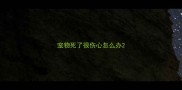 宠物死了很伤心怎么办