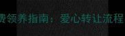 北京拉布拉多犬免费领养指南爱心转让流程与领养前必看事项