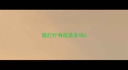 猫打针有疫苗本吗