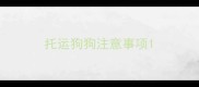 托运狗狗注意事项