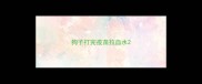 狗子打完疫苗拉血水