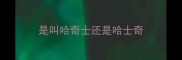 是叫哈奇士还是哈士奇