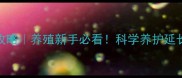 魟鱼疫苗注射全攻略养殖新手必看科学养护延长寿命的5个关键点