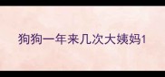 狗狗一年来几次大姨妈