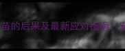 狗狗未驱虫打疫苗的后果及最新应对指南宠物主人必读