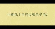 小狗几个月可以剪爪子毛