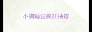 小狗睡觉疯狂抽搐