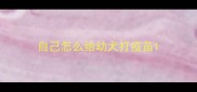 自己怎么给幼犬打疫苗