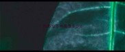 拉布拉多体温是多少
