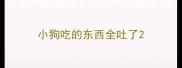 小狗吃的东西全吐了