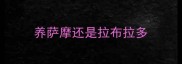 养萨摩还是拉布拉多