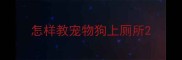 怎样教宠物狗上厕所