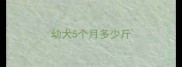 幼犬5个月多少斤