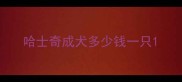 哈士奇成犬多少钱一只