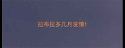 拉布拉多几月发情