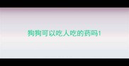狗狗可以吃人吃的药吗