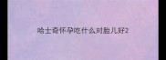 哈士奇怀孕吃什么对胎儿好