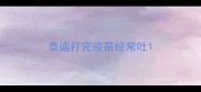 泰迪打完疫苗经常吐