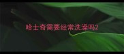 哈士奇需要经常洗澡吗