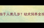 拉布拉多3个月大相当于人类几岁幼犬饲养全攻略附成长阶段
