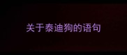 关于泰迪狗的语句