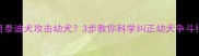 8个月泰迪犬攻击幼犬3步教你科学纠正幼犬争斗行为
