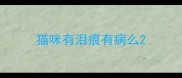猫咪有泪痕有病么