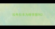 拉布拉多为啥学狼叫